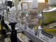 placa bacteriana