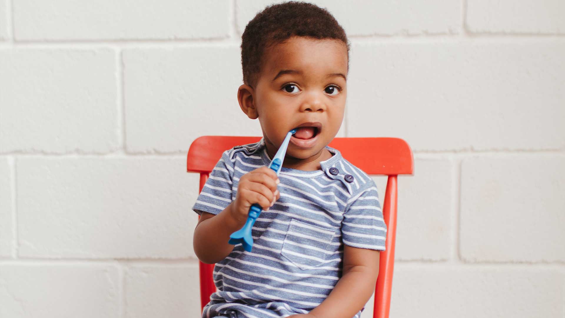 kits de escova dental para levar na escola